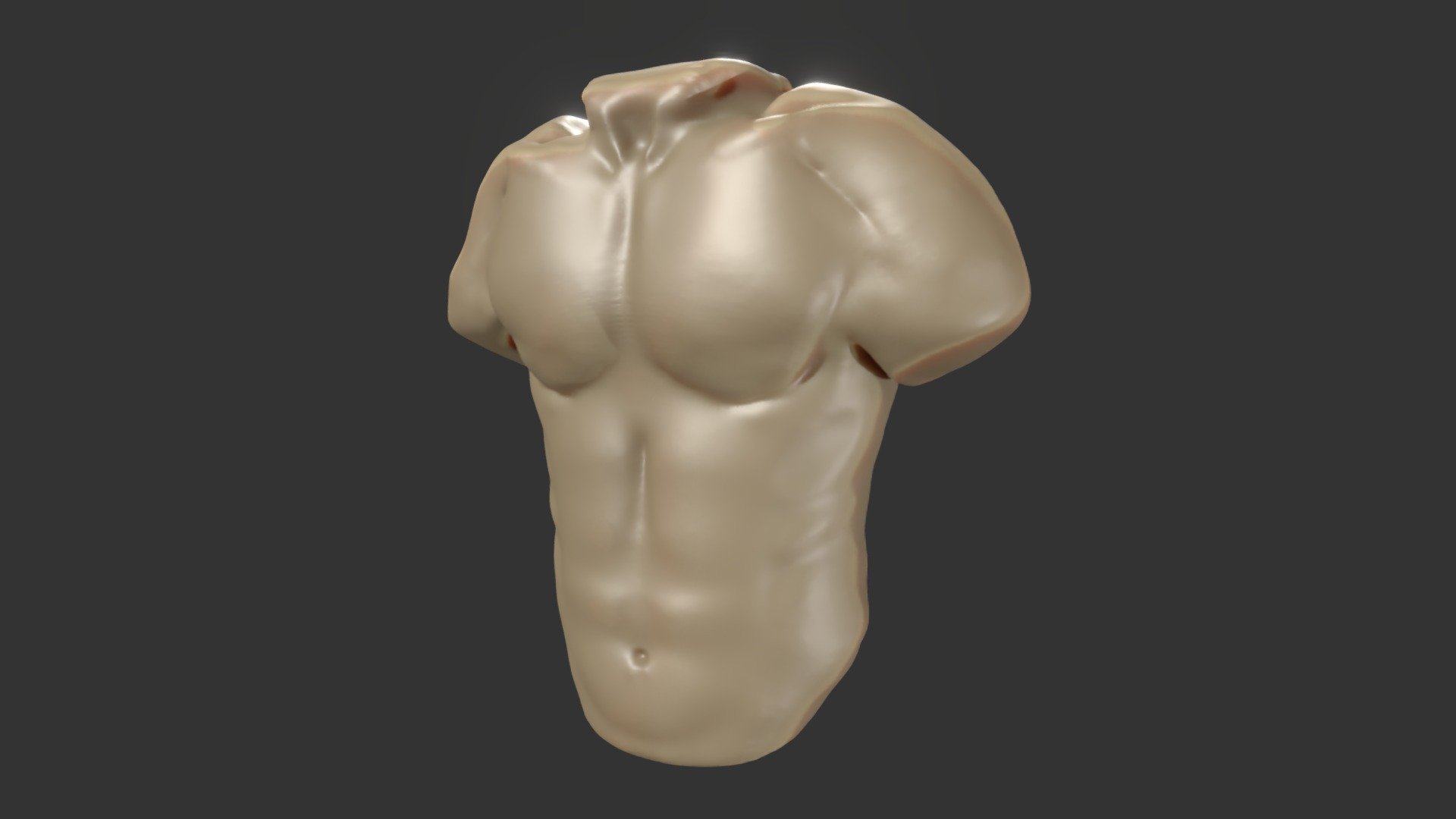 Male Torso