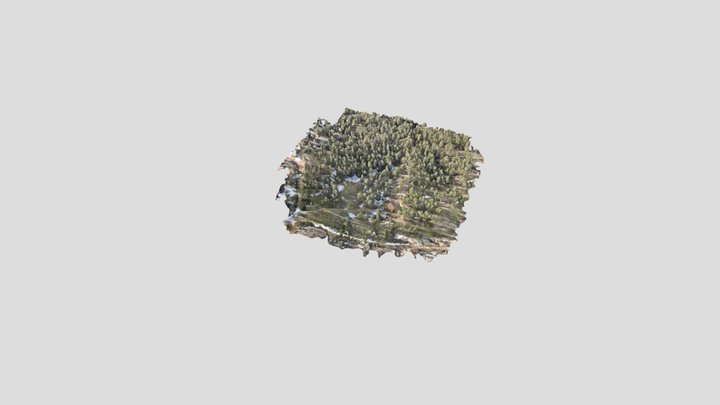 3d_mesh 3D Model