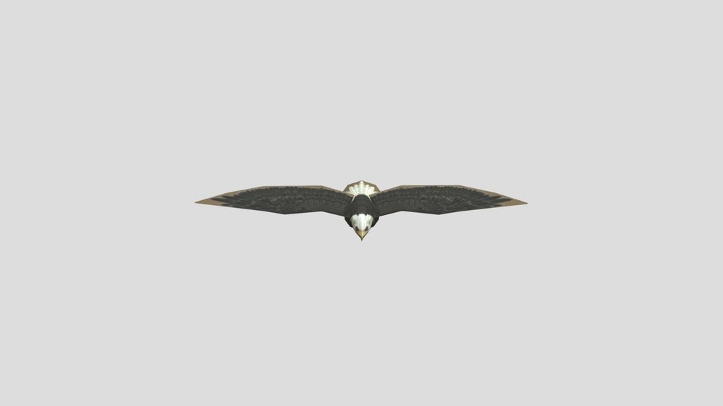 WL Obj Eagle_ Gliding