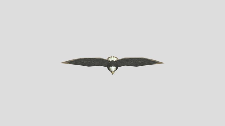 WL Obj Eagle_ Gliding – Kostenloses 3D-Modell STL