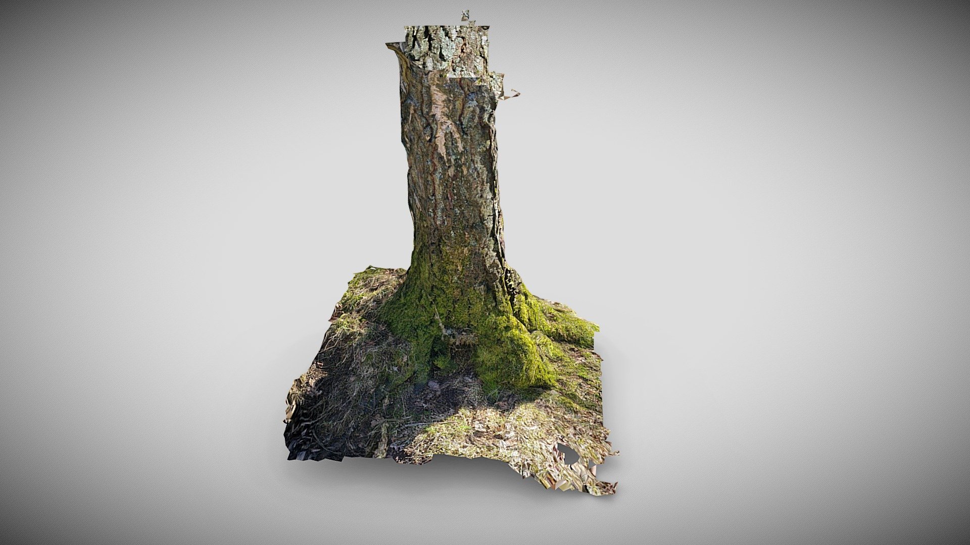 Trunk - Download Free 3D model by Hullken [9dbb88f] - Sketchfab