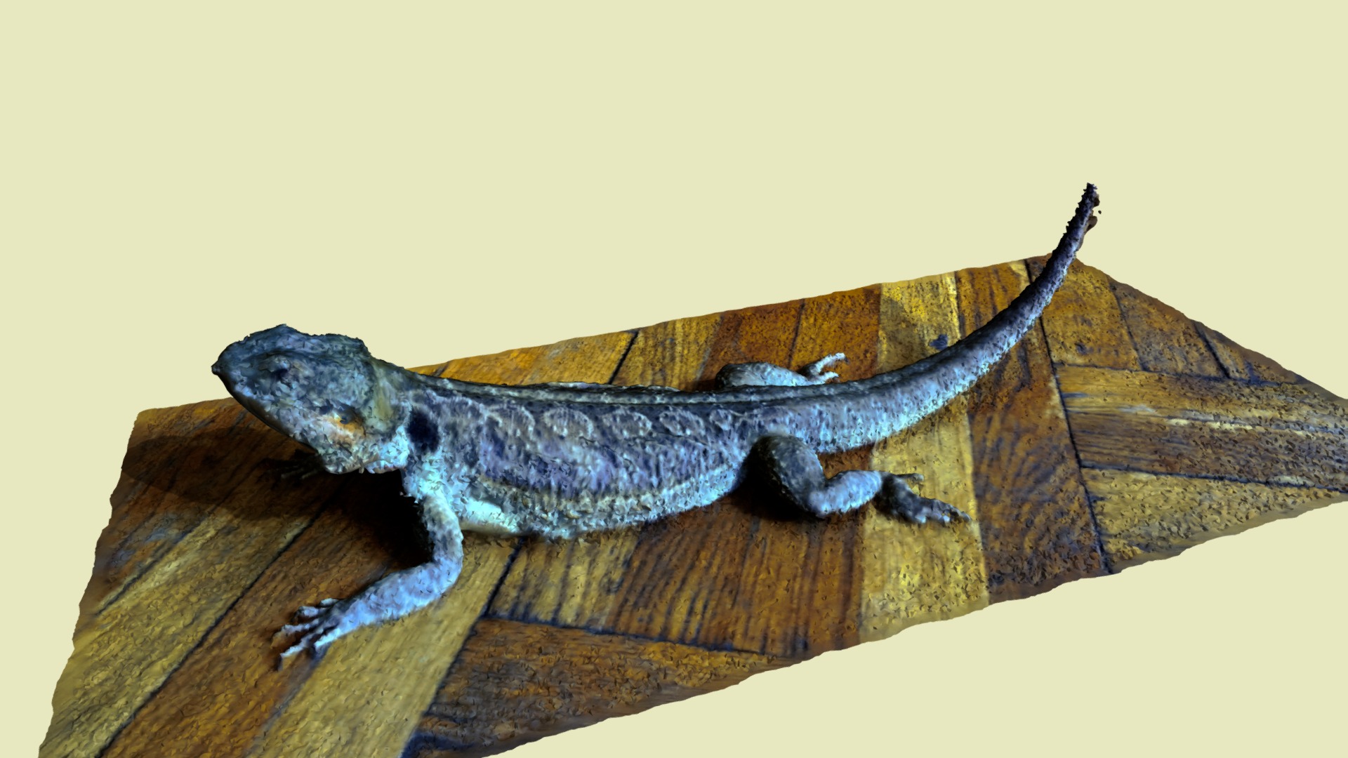 3D model Dornan The Agama - This is a 3D model of the Dornan The Agama. The 3D model is about a lizard on a log.