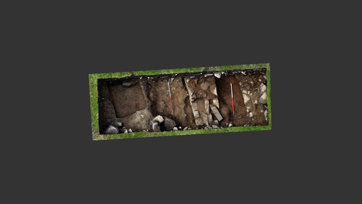 Conwy Vicarage Garden 3D Model