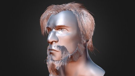 Hair Practice 3D Model