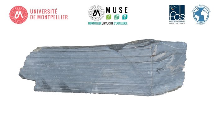 TectoUM - 1024 3D Model