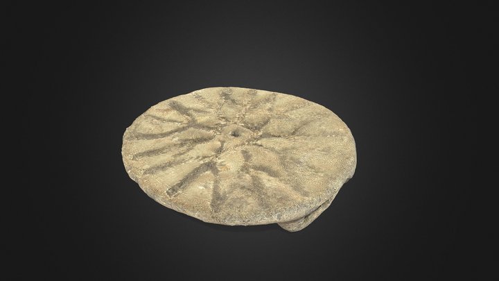 Loden schijffubula? of beslagplaat? Brooch? – Free 3D Model STL