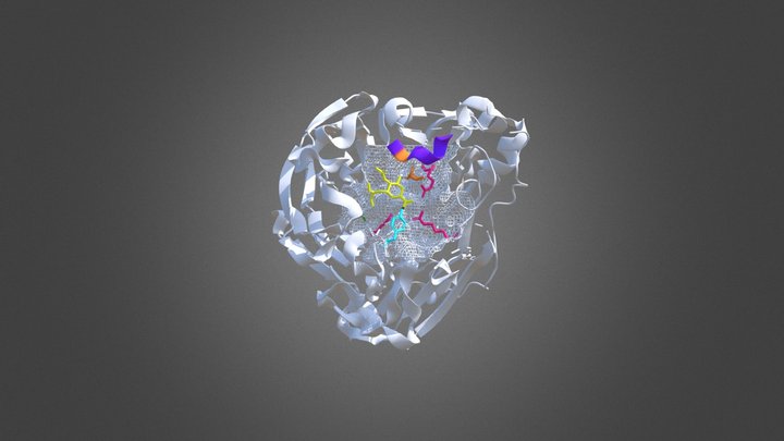 N8 neuraminidase in complex with oseltamivir 3D Model