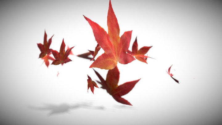 Autumn leaves 3D Model