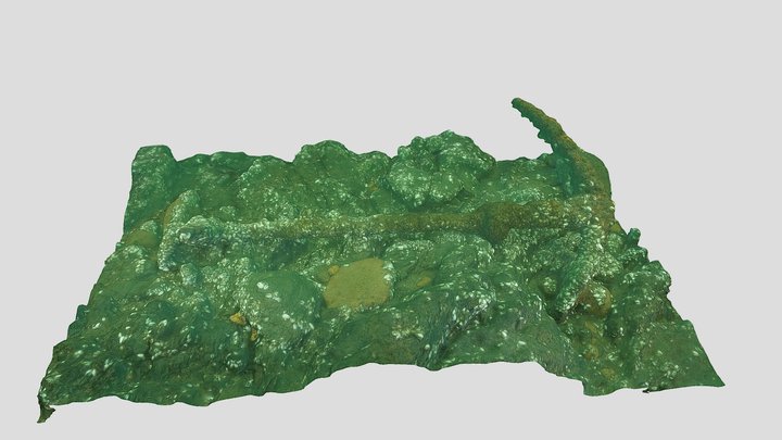 Lake Champlain Anchor 3D Model