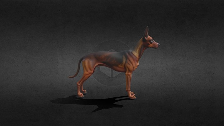 Dog (Pharaoh Hound),Available for 3D printing