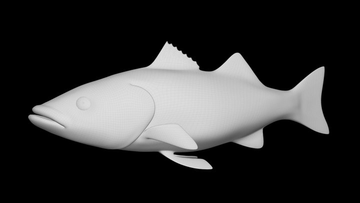 Model 69B - Striped Bass Mesh