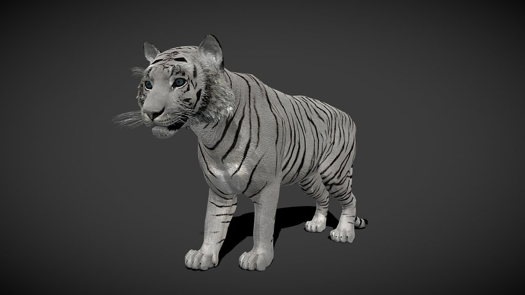 White Tiger (RIGGED ANIMATED)