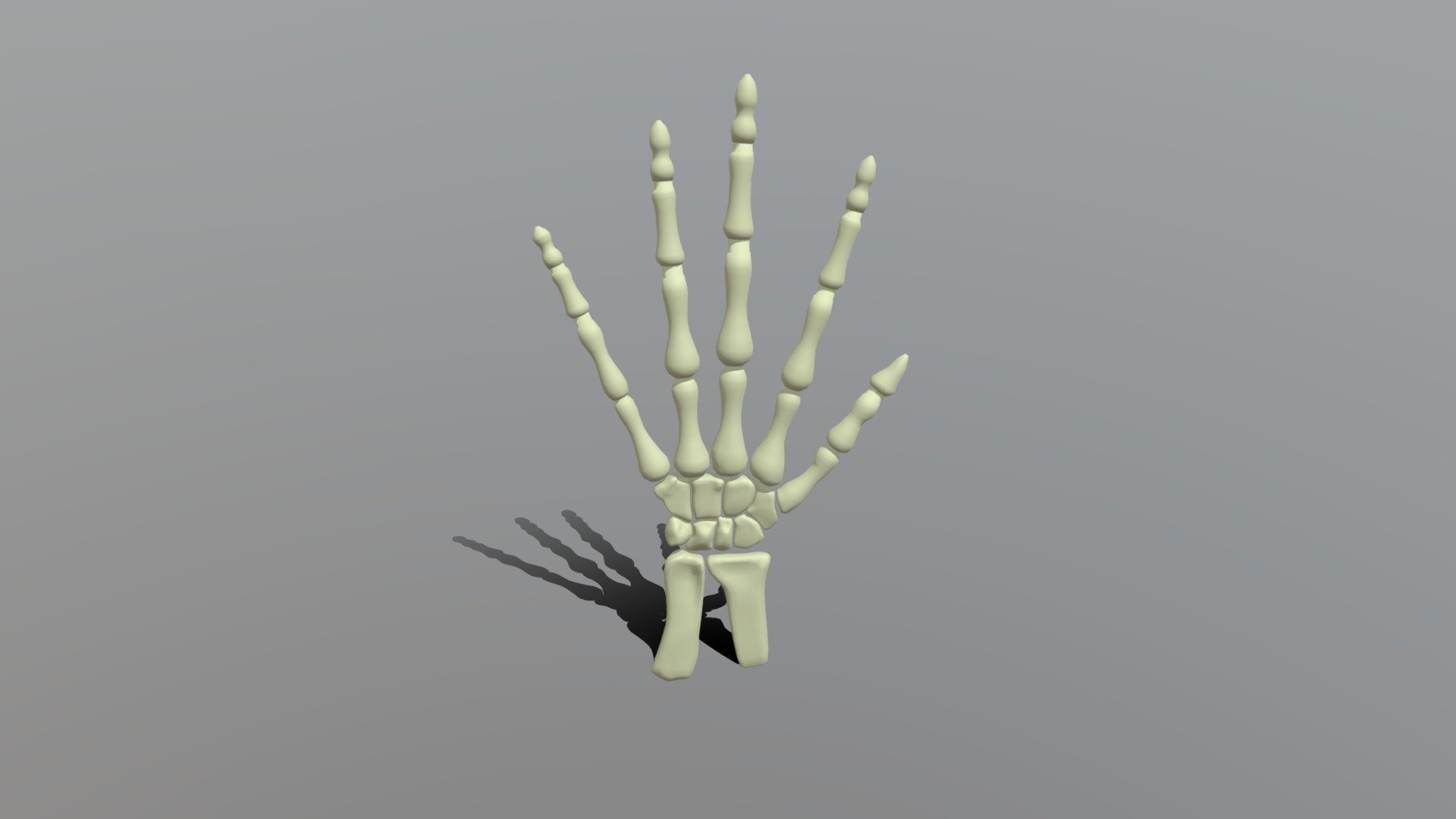 Skeleton Hand - Download Free 3D model by ZachCHale (@zachariah.the.hale)  [a4bf7ea]