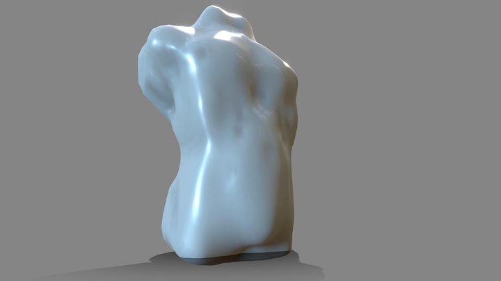Torso sculpt+ 3D Model
