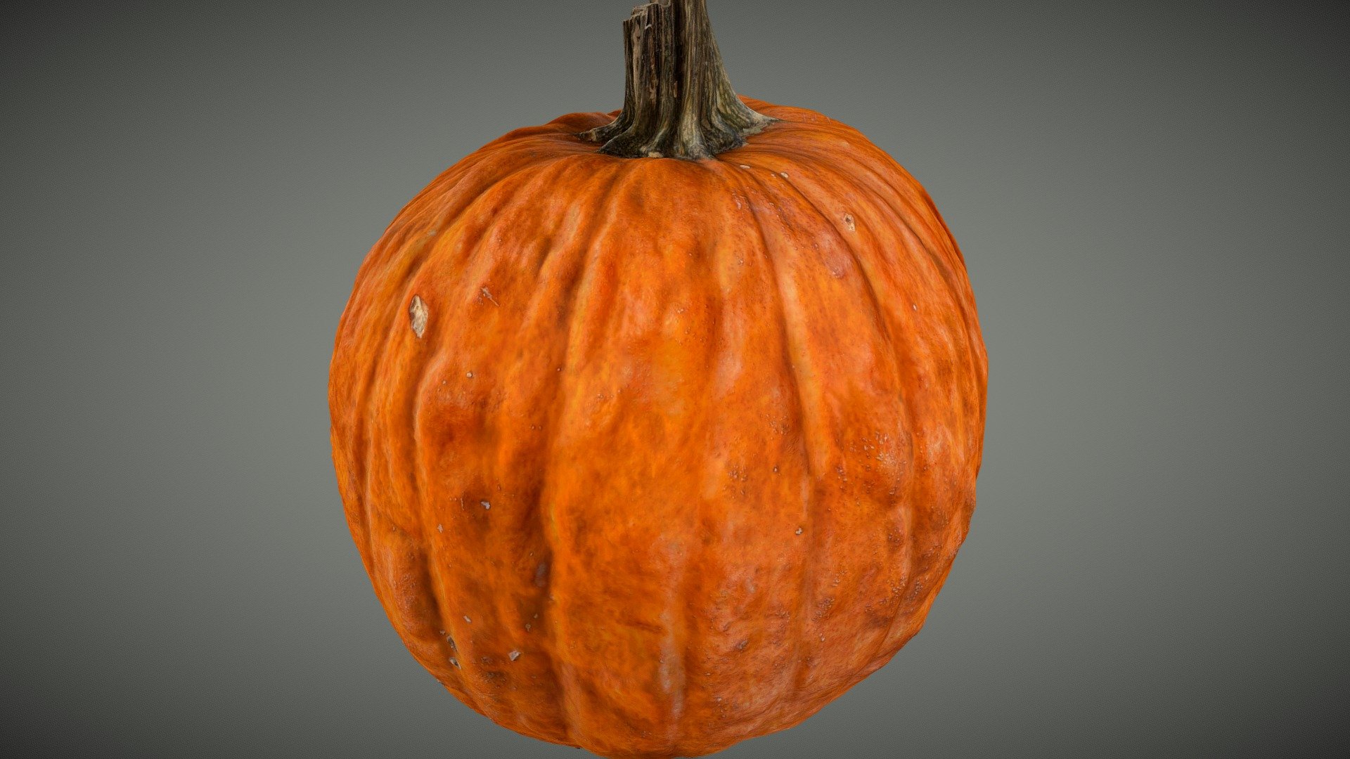 Classic Pumpkin