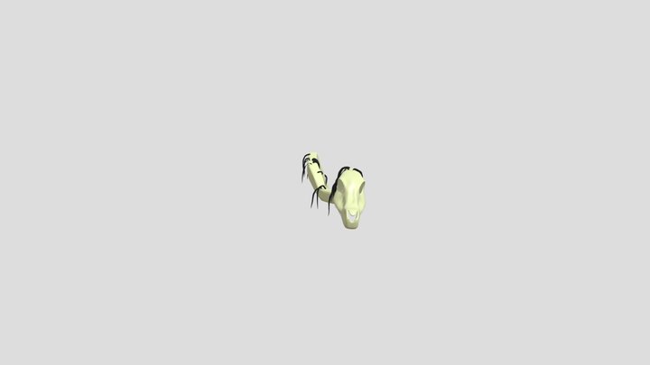 Horse 3D Model
