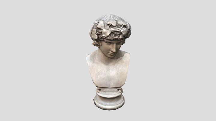 Roman Bust Antonius 3D Model