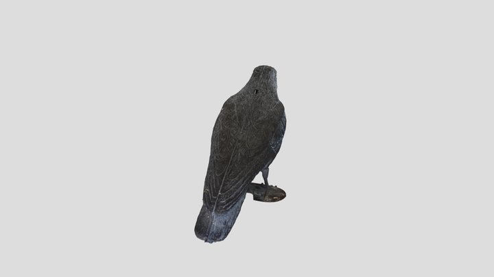 crow 3d scan 3D Model