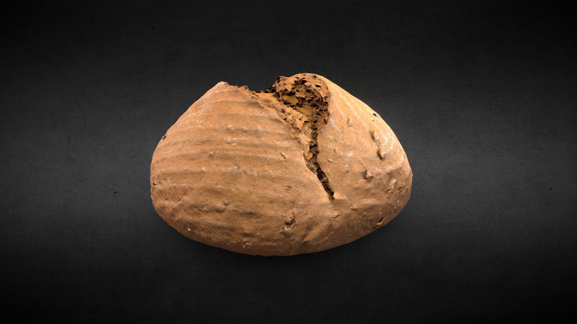 Dinkelkruste (Speltkrust)