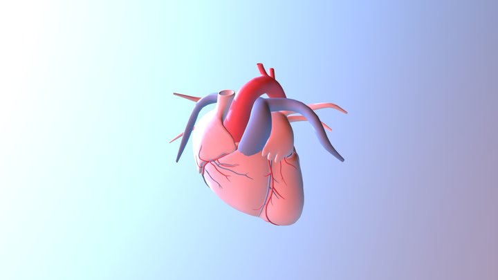 Heart - Herzschlag 3D Model