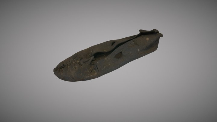 BELUM.A229.1955 Analytical © National Museums NI 3D Model