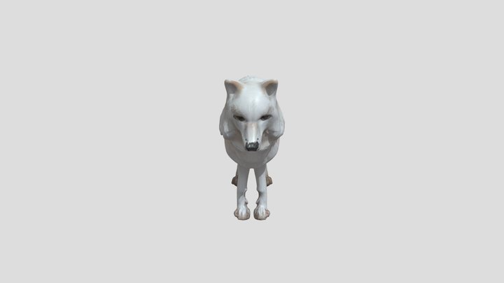 White Wolf 3D Model