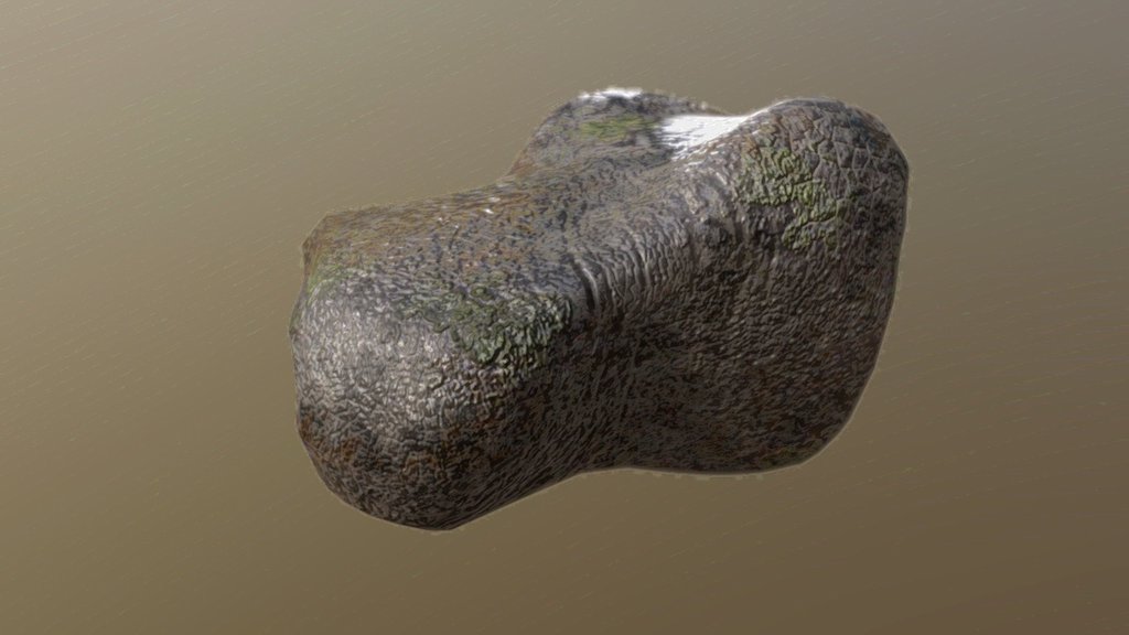 Rock With Moss