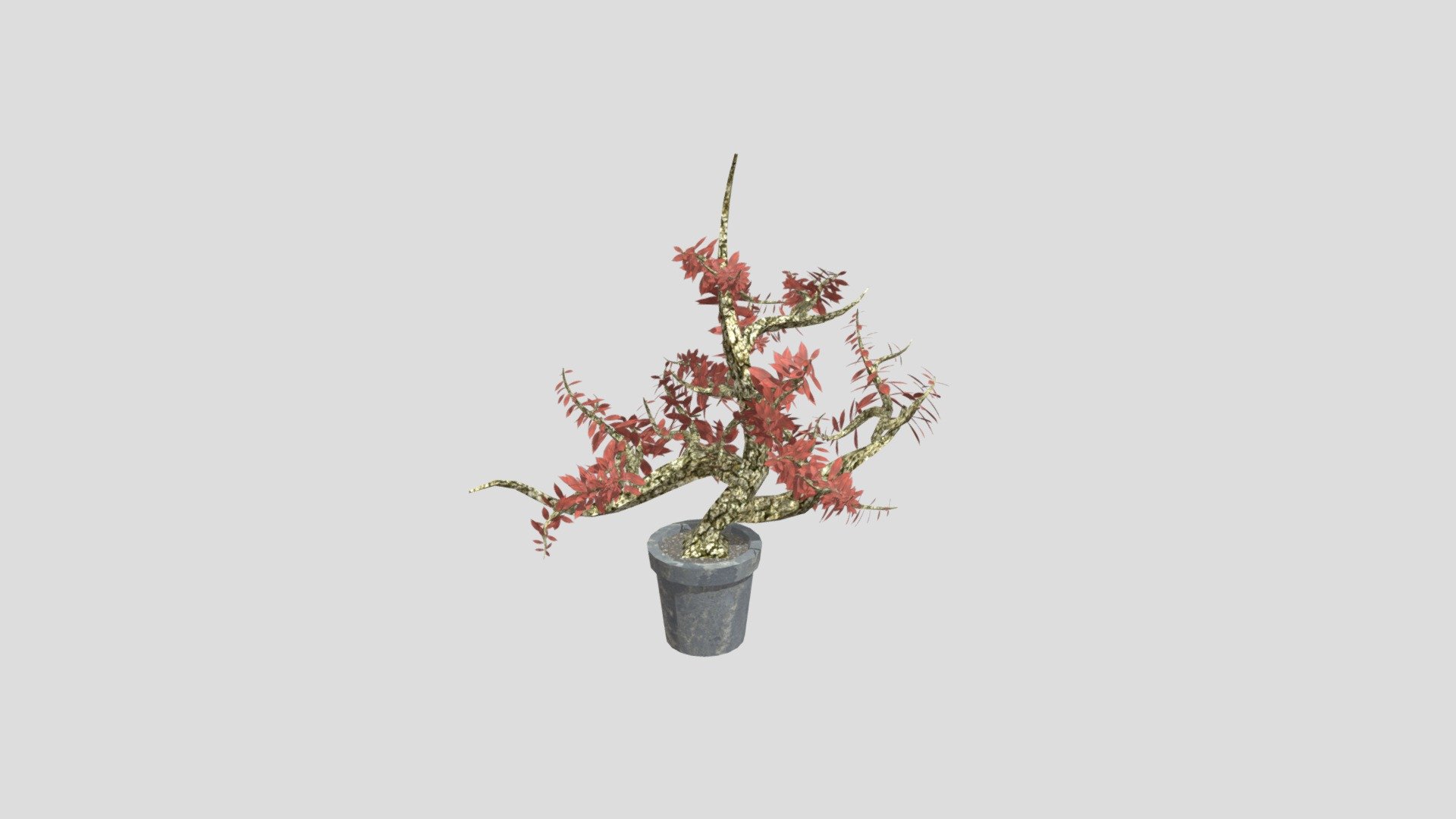 Plant — Sketchfab embed 3D viewer
