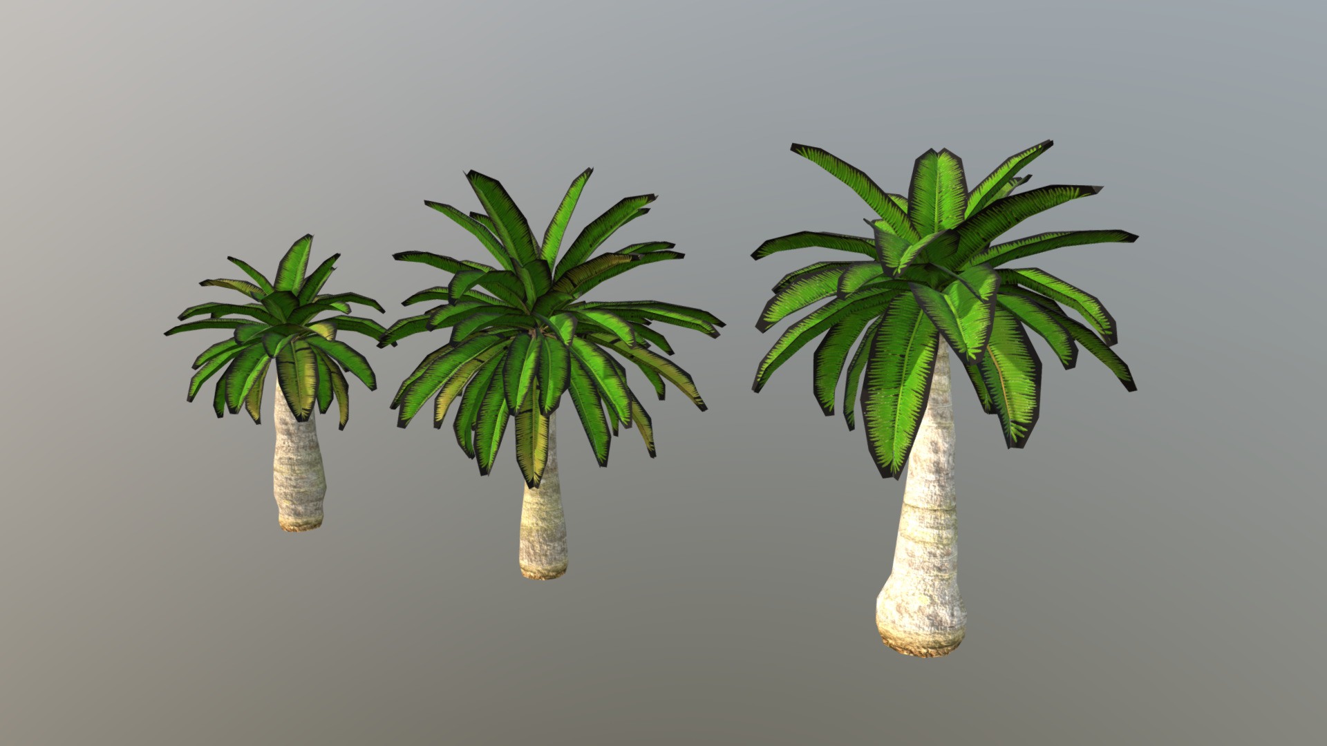 3D model Low Poly Palm Trees 05 - This is a 3D model of the Low Poly Palm Trees 05. The 3D model is about a group of plants in vases.