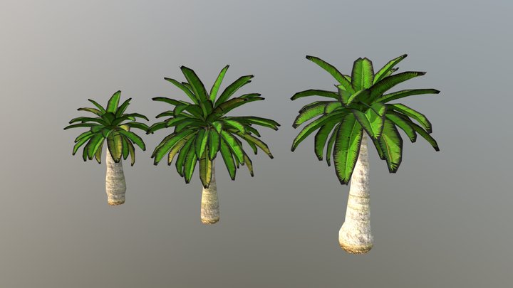 Low Poly Palm Trees 05 3D Model