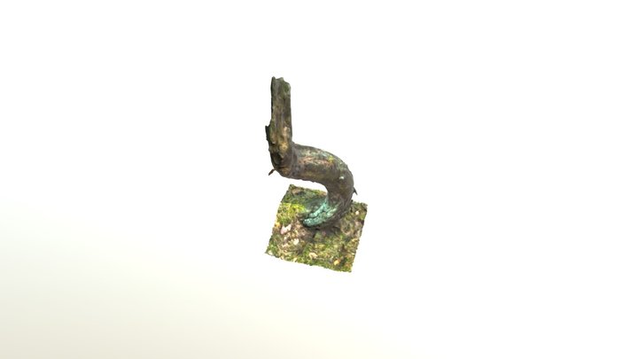 Sausenis mežā 3D Model