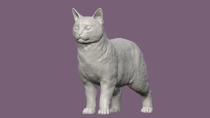 Manx_cat 3D Model