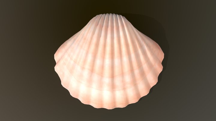 Sea Shell Game Asset