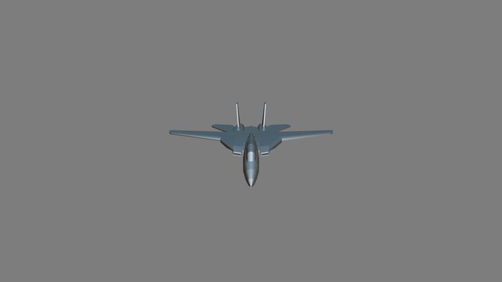F-14 Tomcat Foam board model 3D Model