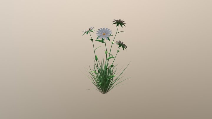 white flower 3D Model