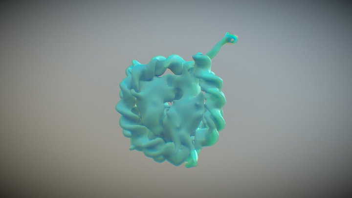 Nucleosome 3D Model
