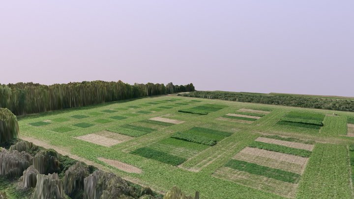 Cover Crop 3D Model