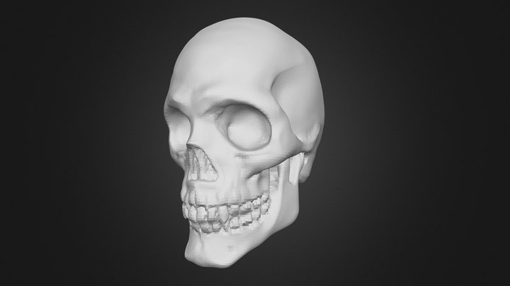 Head Exercises_2 3D Model