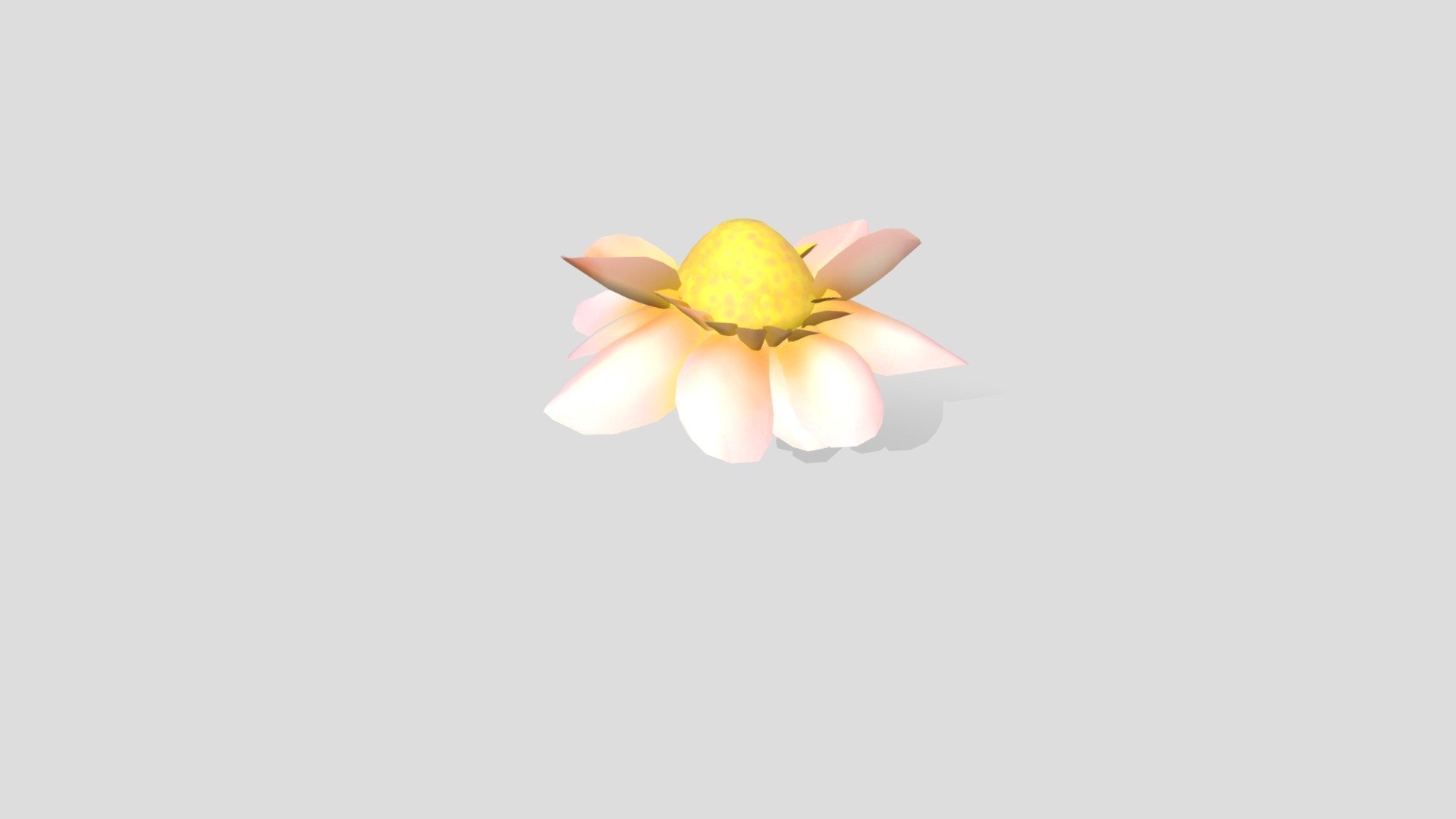 planta1VF4