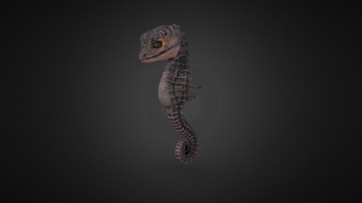 Seahorse Skink 3D Model