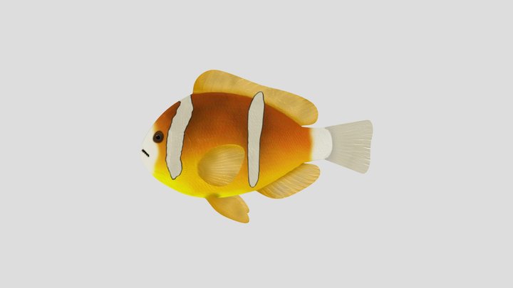 Ikan Nemo 3D Model