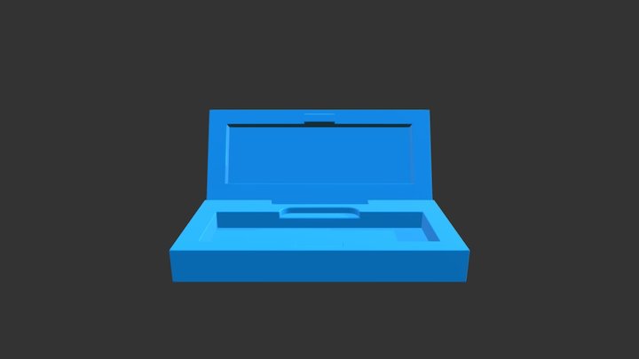 Litecoin Case Alternative