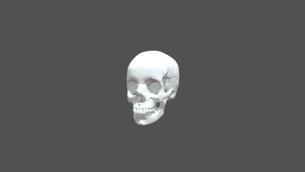 Skull Lab BIOL2213L
