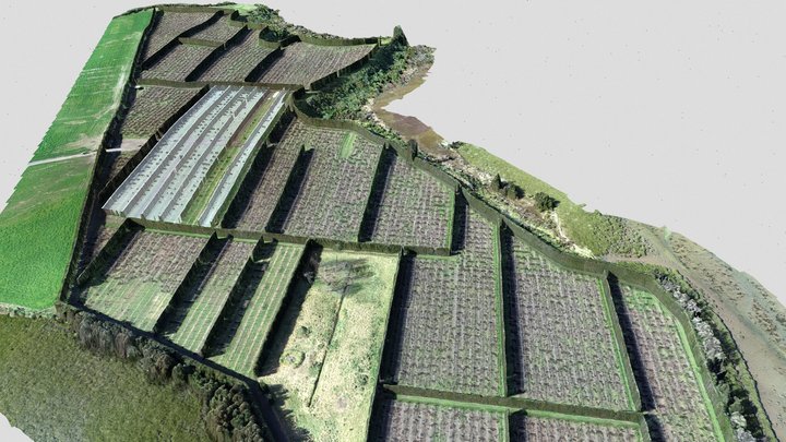 Mangatawa Orchard - Tauranga 3D Model