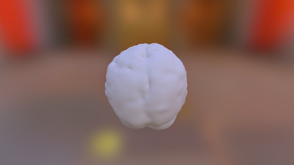 Output Brain Surface - 3D model by nickdawson [9e0ee00] - Sketchfab