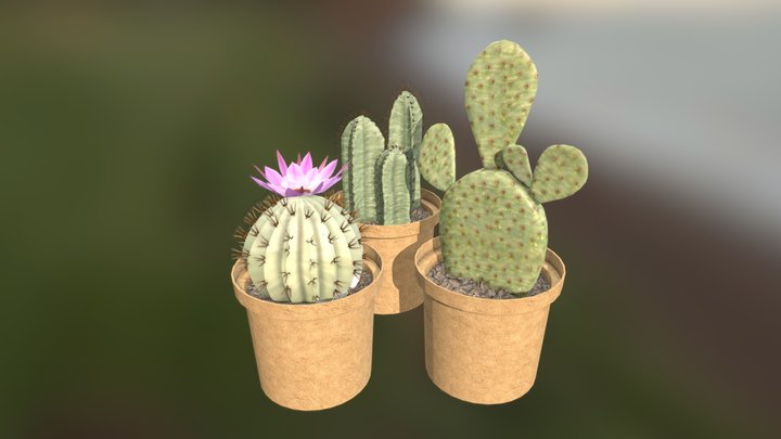 Mini Cactus 3D Model