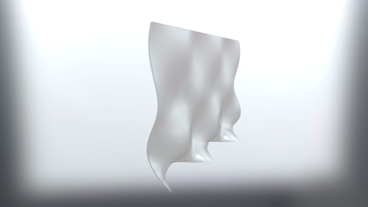 Fluid Partition 3D Model