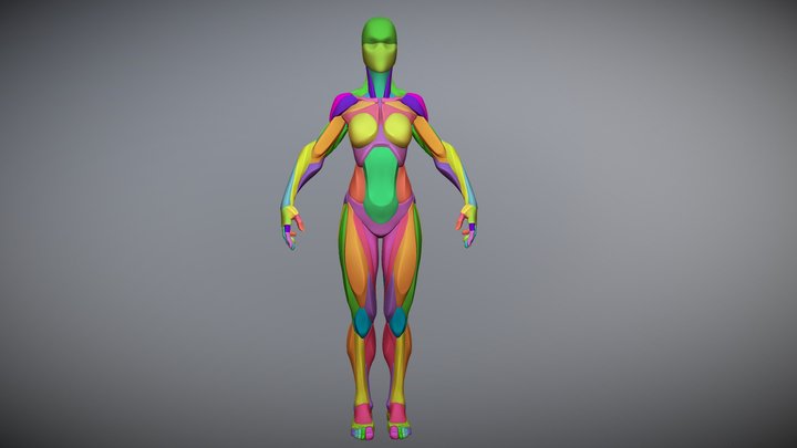 Stylized Female Anatomy Blockout v1 3D Model