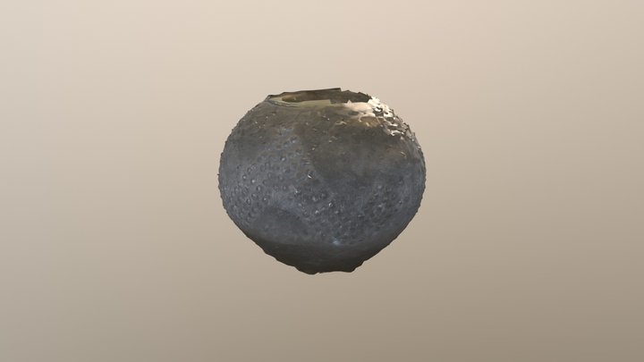 Project 5 OBJ 3D Model