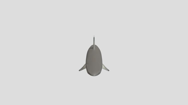 shark 2